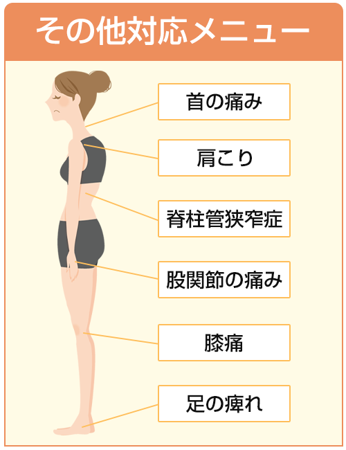 その他の対応メニュー